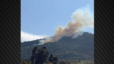 Από καύση υπολειμμάτων καλλιεργειών η φωτιά στην Άμπελο Αχαΐας, συνελήφθη 51χρονος