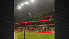 Αυστραλία: Γλάροι εισέβαλαν στον αγωνιστικό χώρο και δημιούργησαν χάος σε ποδοσφαιρικό παιχνίδι, δείτε βίντεο
