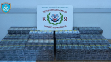 Σκύλος της ομάδας Κ-9 εντόπισε εκατοντάδες λαθραία τσιγάρα σε φορτηγό στην Ηγουμενίτσα
