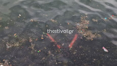 Γέμισε σκουπίδια ο Θερμαϊκός, επιπλέουν μέχρι και... ηλεκτρικά πατίνια δείτε βίντεο και φωτογραφίες