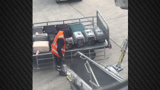 Βίντεο: Εργαζόμενος στο Ελευθέριος Βενιζέλος υποδέχτηκε με τρυφερότητα γάτες από τον χώρο αποσκευών του αεροπλάνου και έγινε viral στο TikTok