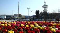 Τι αγοράζουν από τις Ανθοεκθέσεις οι Θεσσαλονικείς: Γενιές με διαφορετικές προτιμήσεις σε άνθη και φυτά