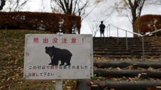 Οι αρκούδες ξυπνούν από τη χειμερία νάρκη και η Ιαπωνία προετοιμάζεται για νέο κύμα επιθέσεων
