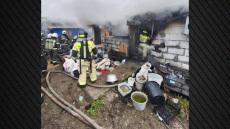 Πυρκαγιά σε εκτροφείο σκύλων στη Ρωσία σκότωσε 200 τσιουάουα
