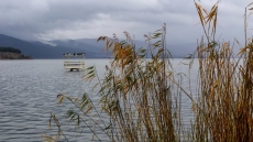 Επτά στις δέκα περιοχές Natura προστατεύονται από ΕΠΜ: Τι σηματοδοτεί η απόφαση για τα Ιωάννινα