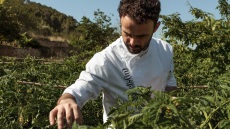 José Miguel Bonet: «Η ουσία της καλής κουζίνας δεν βρίσκεται απαραίτητα σε ακριβά ή εντυπωσιακά υλικά»