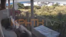 Ηχητικό ντοκουμέντο: Οι καταιγιστικοί πυροβολισμοί της δολοφονίας του 21χρονου στην Αμμουδάρα Κρήτης
