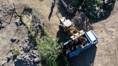 Καταγγελίες για ανεξέλεγκτες ταφές ζώων στη Λέσβο λόγω αφθώδους πυρετού, μεταφέρονται με ανοιχτά φορτηγά