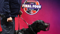 Αυστηρά μέτρα της ΕΛΑΣ για το Final 4 της Euroleague: Απαγόρευση συναθροίσεων και κυκλοφοριακές ρυθμίσεις, πώς θα γίνει η μετακίνηση των φιλάθλων του Ολυμπιακού