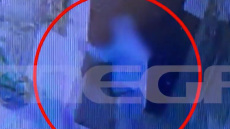Πρώην αντιδήμαρχος Κρήτης κατηγορείται ότι σκότωσε γατάκι - Τι φέρεται να υποστηρίζει ο ίδιος για το βίντεο που τον έχει καταγράψει