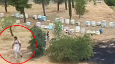 Μελισσοκόμος απομακρύνεται από τα μελίσσια αφού οριοθετήθηκε η φωτιά στο Άλσος Βεΐκου, ταυτοποιήθηκε και αναζητείται