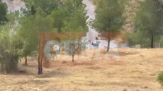 Το βίντεο που πρόδωσε τον μελισσοκόμο στο Άλσος Βεΐκου: Πανικόβλητος προσπαθούσε με κουβά να σβήσει τη φωτιά