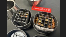 Σπόροι ελιάς στο Διάστημα; Ελληνικοί δήμοι εξετάζουν συμμετοχή στο πρόγραμμα «Space Green»