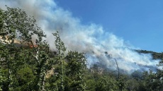 Τουρνάς: H απειλή τη φετινή αντιπυρική περίοδο είναι η συσσωρευμένη καύσιμη ύλη