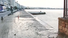 Βγήκε στην στεριά το φυτοπλαγκτόν στο λιμάνι της Θεσσαλονίκης, δείτε βίντεο 