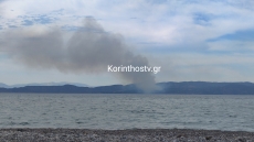 Οριοθετήθηκε η φωτιά σε δασική έκταση στη Σκαλωσιά Περαχώρας
