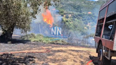 Υπό έλεγχο η φωτιά στη Μαμουλάδα