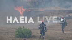 Σε ύφεση και χωρίς ενεργό μέτωπο η φωτιά στη Βάρδα Ηλείας