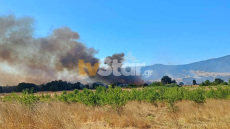 Καλύτερη η εικόνα της φωτιάς στη Μαριολάτα Φωκίδας