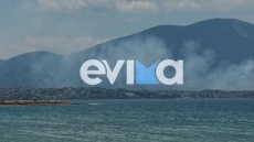 Οριοθετήθηκε η φωτιά στη Χαλκίδα: Εστάλη μήνυμα από το 112, σηκώθηκαν εναέρια μέσα, δείτε βίντεο
