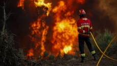 Μεγάλες πυρκαγιές στη Γαλλία, την Ισπανία και την Πορτογαλία: Δεκάδες χιλιάδες τα καμένα στρέμματα
