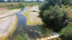 Αποκαρδιωτικές οι εικόνες από τον Πηνειό ποταμό: Εμφανής η πτώση της ροής του, δείτε εικόνες