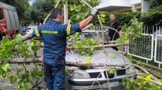 Δέντρο έπεσε πάνω σε αυτοκίνητο στο Μενίδι, δείτε φωτογραφίες
