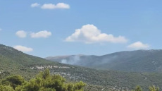Οριοθετήθηκε η φωτιά σε δασική έκταση στα Βίλια, σηκώθηκαν 7 εναέρια