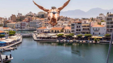 Cliff Diving 2026: Οι πιο εντυπωσιακές βουτιές στον Άγιο Νικόλαο Κρήτης