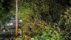 Πτώσεις δέντρων και πλημμυρισμένοι δρόμοι σε Δράμα και Κομοτηνή, 41 κλήσεις δέχθηκε η Πυροσβεστική
