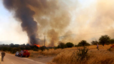 Καλύτερη η εικόνα της φωτιάς στην Επίδαυρο: Επιχειρούν 12 εναέρια, δείτε βίντεο
