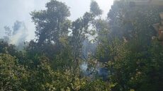 Χωρίς ενεργό μέτωπο η φωτιά στο Άνω Κεράσοβο Αιτωλοακαρνανίας, δείτε βίντεο