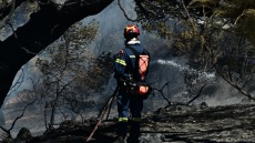 Συνελήφθη 27χρονος που προκάλεσε φωτιά στο Κορωπί από ρευματοκλοπή