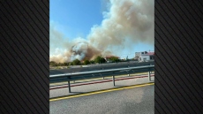 Οριοθετήθηκε η φωτιά στην Πυλαία Θεσσαλονίκης, έκαιγε κοντά σε σπίτια