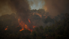Φωτιά στη Λέσβο, 112 για εκκένωση του Πλωμαρίου