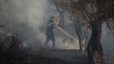 Συναγερμός για τα μελτέμια: Σε κατηγορία 4 ο κίνδυνος πυρκαγιάς για τη μισή χώρα
