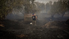 1.000 καμένα στρέμματα η πρώτη εκτίμηση από τη φωτιά στο Πλωμάρι, αγωνία για τις αναζωπυρώσεις