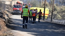 Εργαζόμενος του ΔΕΔΔΗΕ καταπλακώθηκε από κορμό δέντρου στην Αργολίδα κατά τη διάρκεια εργασιών αποκατάστασης του δικτύου