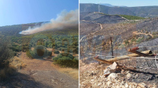 Πώς ξεκίνησε η φωτιά στη Βοιωτία: Τι αποκάλυψε η αυτοψία της Πυροσβεστικής «στο σημείο μηδέν», φωτογραφίες ντοκουμέντο