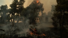 Meteo: Πότε ξεκινούν οι δασικές πυρκαγιές στην Ελλάδα, οι έξι πιο επικίνδυνες εβδομάδες του χρόνου