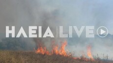 Χωρίς ενεργό μέτωπο η φωτιά στην Aγία Μαρίνα Ηλείας, δείτε φωτογραφίες
