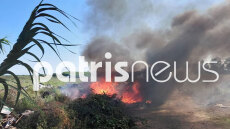 Οριοθετήθηκε η φωτιά στο Βαρθολομιό, παραμένουν δυνάμεις στο σημείο 