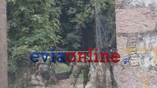 Χειροβομβίδα του  Β' Παγκοσμίου Πολέμου σε παλιά αποθήκη της Εύβοιας, επιχείρηση για την απομάκρυνσή της