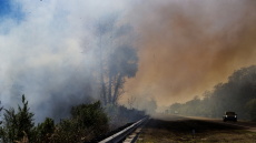 Δεκάδες χιλιάδες κάτοικοι εγκαταλείπουν τις εστίες τους αντιμέτωποι με μεγάλη δασική πυρκαγιά στη Νεβάδα