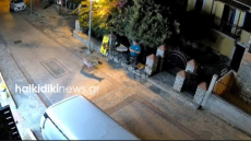 Λύκος μπήκε στη Νικήτη Χαλκιδικής και πλησίασε άνδρα που καθόταν  έξω από κατάστημα, δείτε βίντεο 