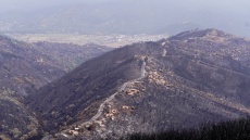 Η Αλγερία επεκτείνει τη θανατική ποινή σε εμπρηστές δασών