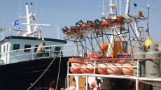 Επιδότηση 40 λεπτά του αλιευτικού πετρελαίου για το διάστημα Σεπτεμβρίου-Οκτωβρίου