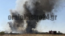 Φωτιά στη δυτική Θεσσαλονίκη με πυκνούς μαύρους καπνούς ορατούς από μεγάλη απόσταση