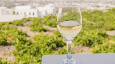 20 λευκά κρασιά από συνδυασμούς Ασύρτικου με άλλες ποικιλίες
