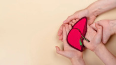 6η χρονιά αύξησης των μεταμοσχεύσεων στην Ελλάδα – Το 2027 μετά το νεφρό, θα γίνονται και στο ήπαρ σε παιδιά

